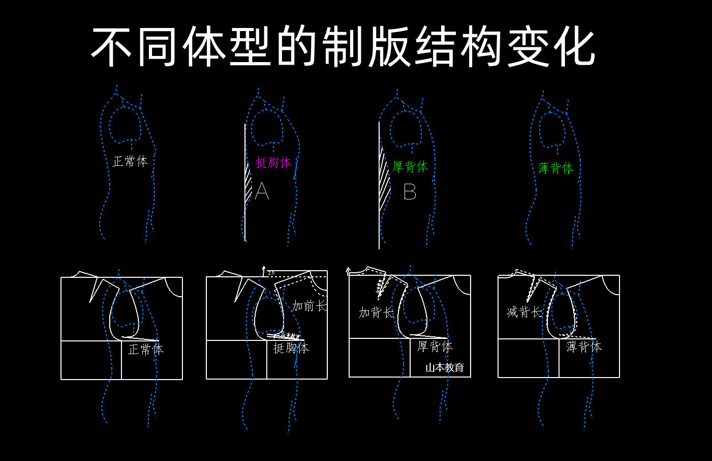 69.挺胸驼背不同体型原型结构变化