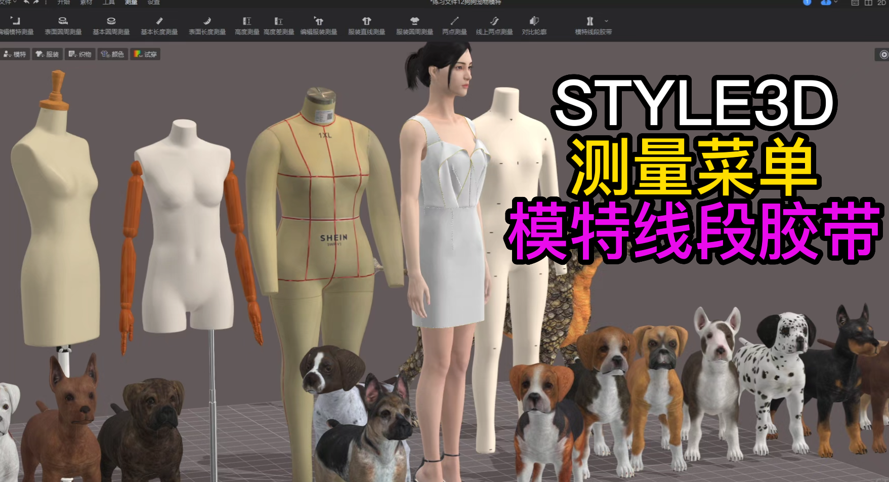 158服装设计STYLE3D测量-模特线段胶带.png