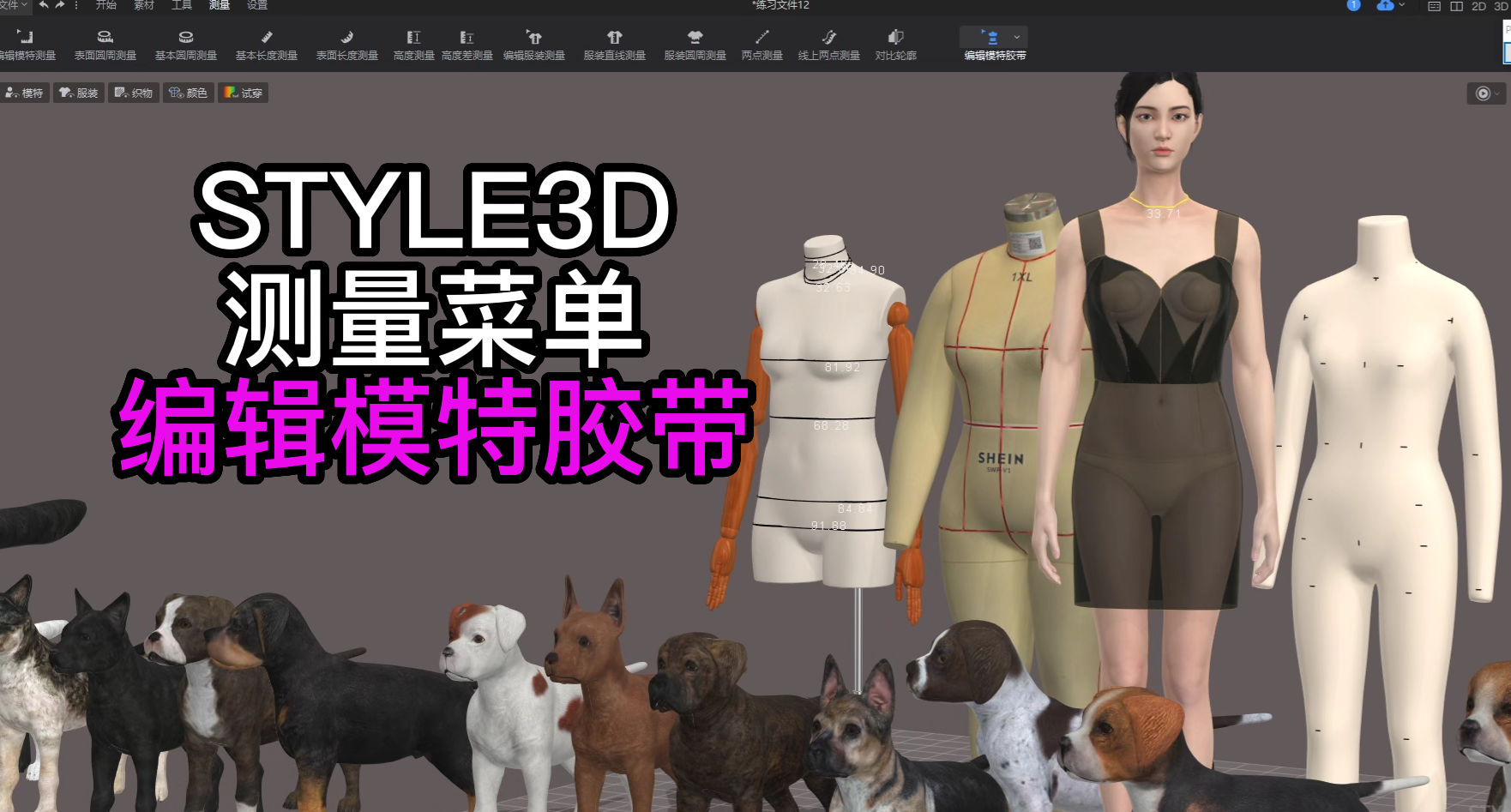 156服装设计STYLE3D测量-编辑模特胶带.png