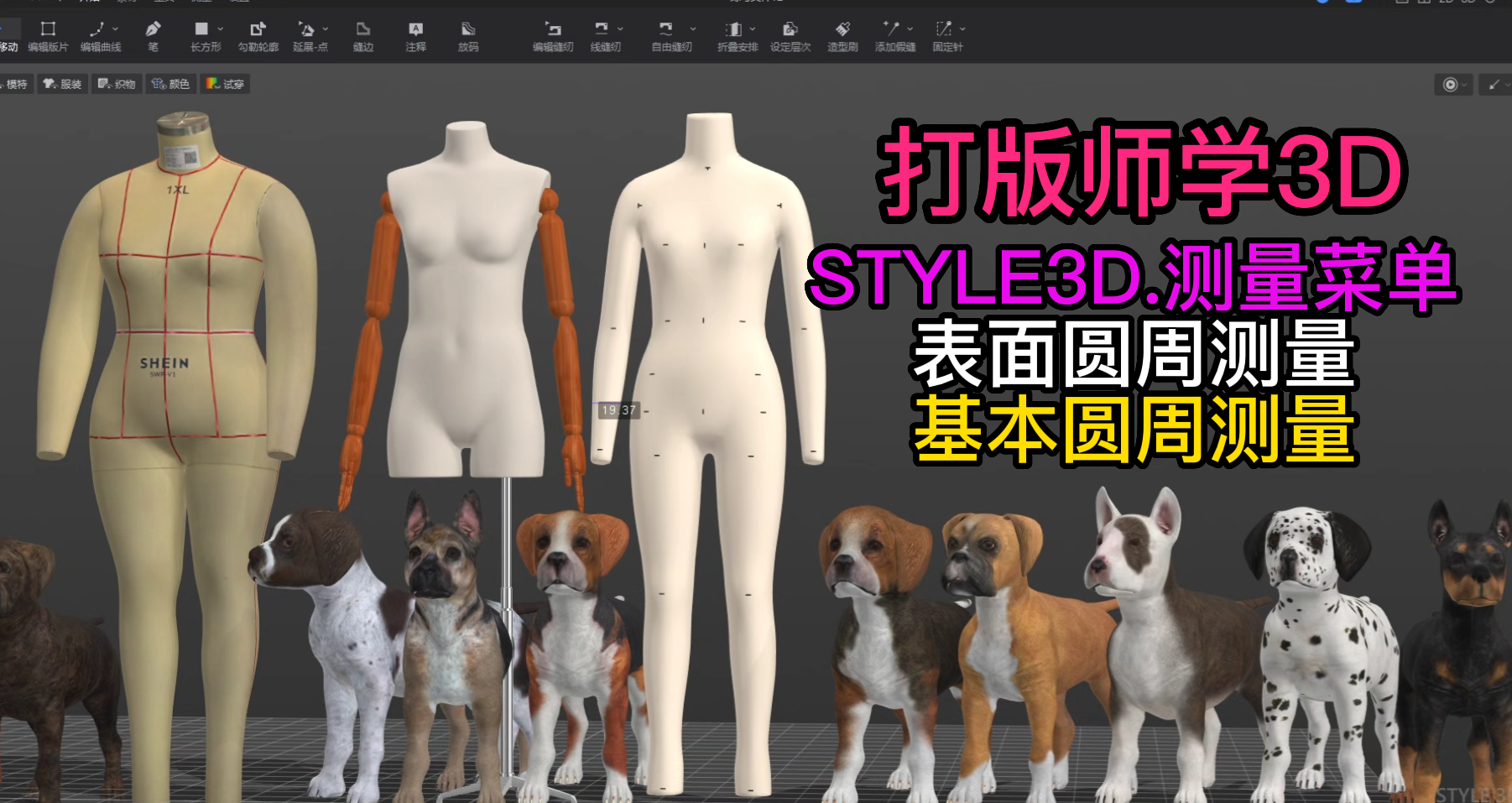 149服装设计STYLE3D测量-表面圆周测量.基本圆周测量.png
