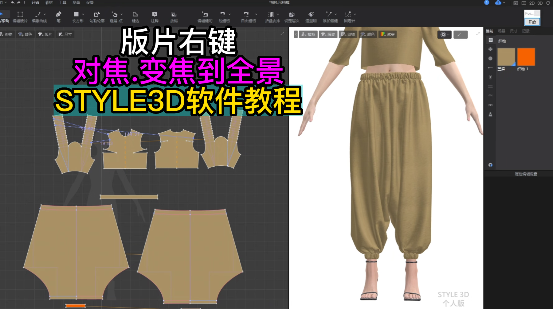 65版片右键-对焦.变焦到全景STYLE3D软件教程.png