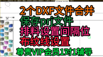 56尊贵VIP会员答疑-2个DXF文件合并保存prj文件排料设置间隔位布纹线设置
